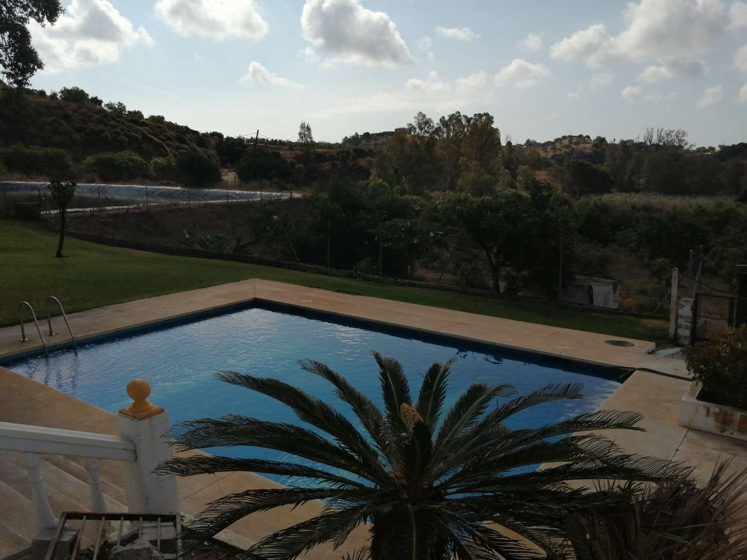 La Paradisiaca - Finca à Mijas.